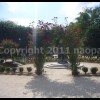 imagebam.com